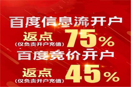 网络营销实战：成功竞价推广案例分析